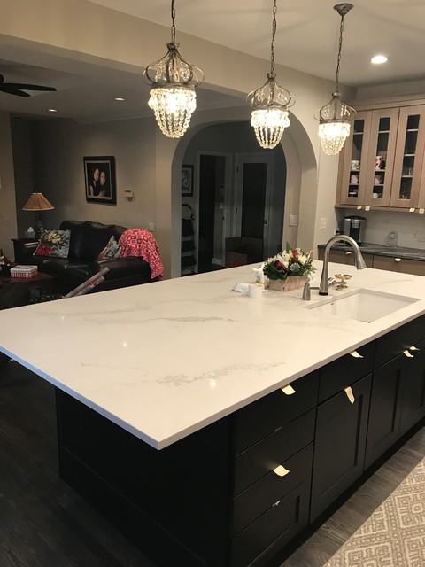 Kitchens contemporary-kitchen