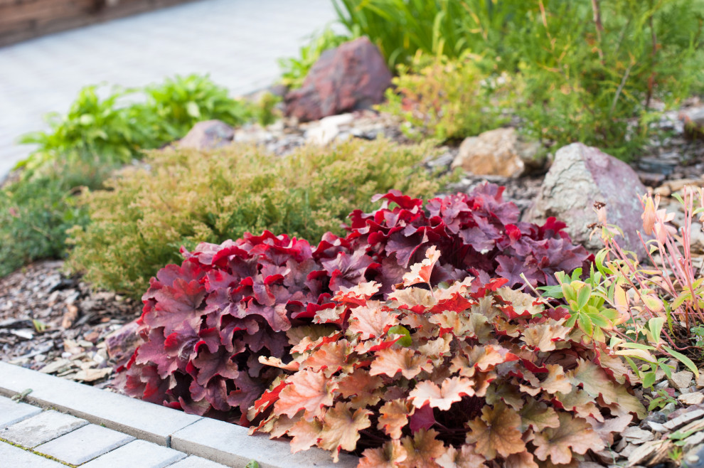 Сад На мажорной ноте