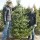Patricia Ilnicki_Mann