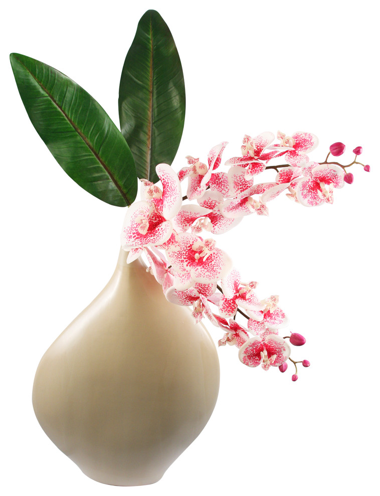Figi Silk Floral Arrangement with Pink Spotted Phalaenopsis Orchids & Ginger Lea