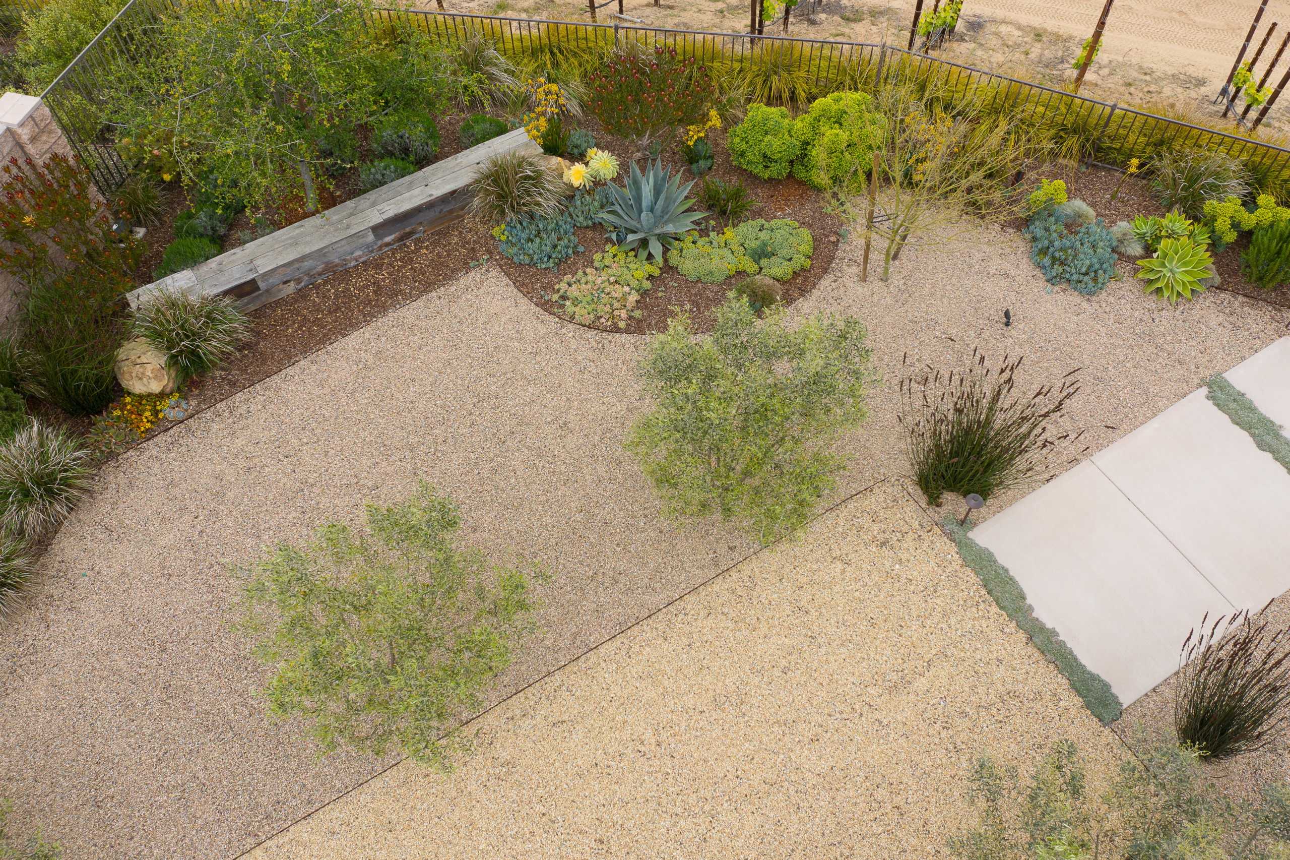 Trilogy Landscape and Outdoor Kitchen