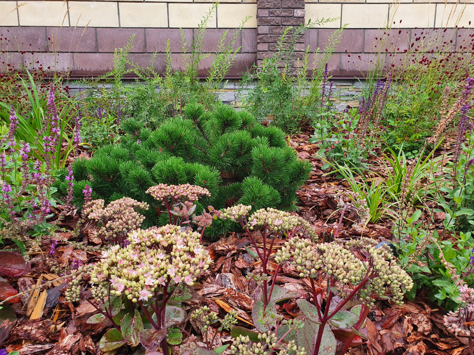 Частный сад в Самарской области