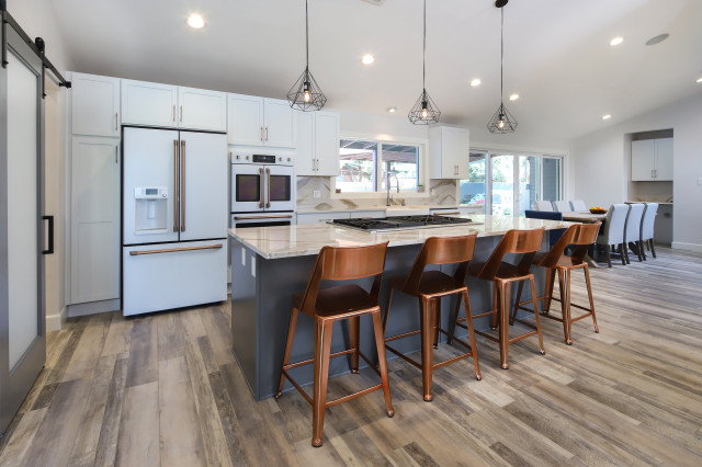 Winterhaven Remodel transitional-kitchen
