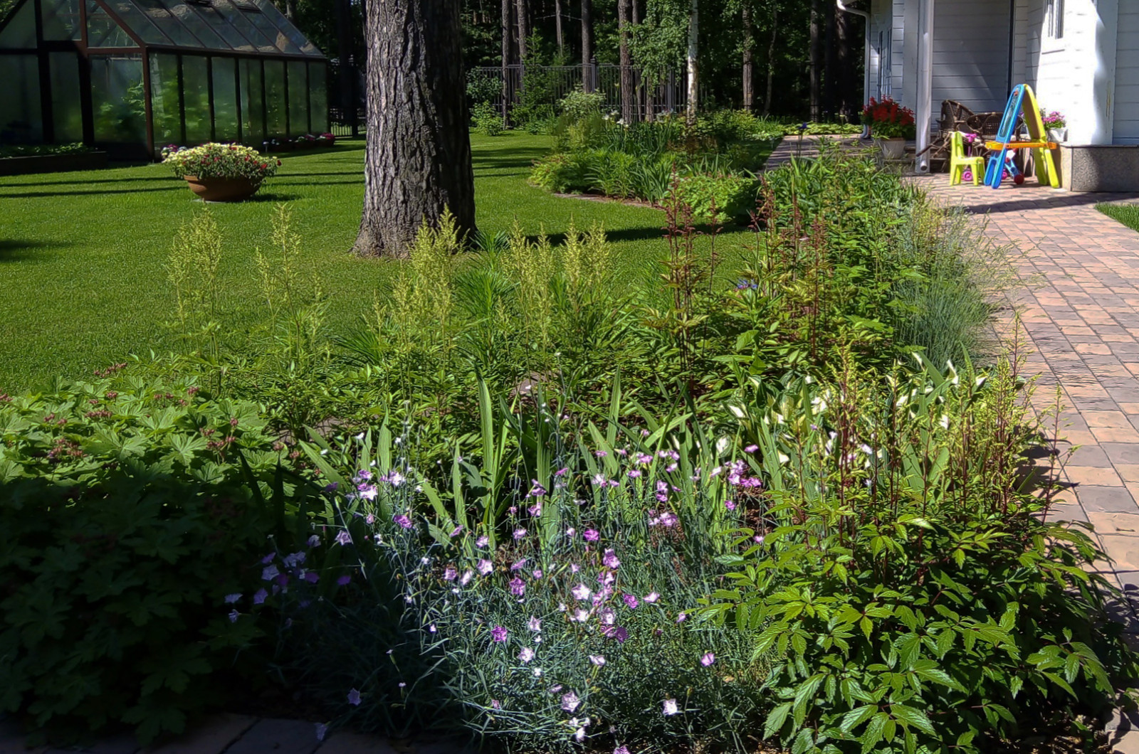 Цветники под пологом леса
