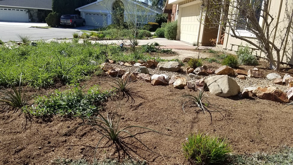 This is an example of a mid-sized eclectic front yard xeriscape in Orange County.
