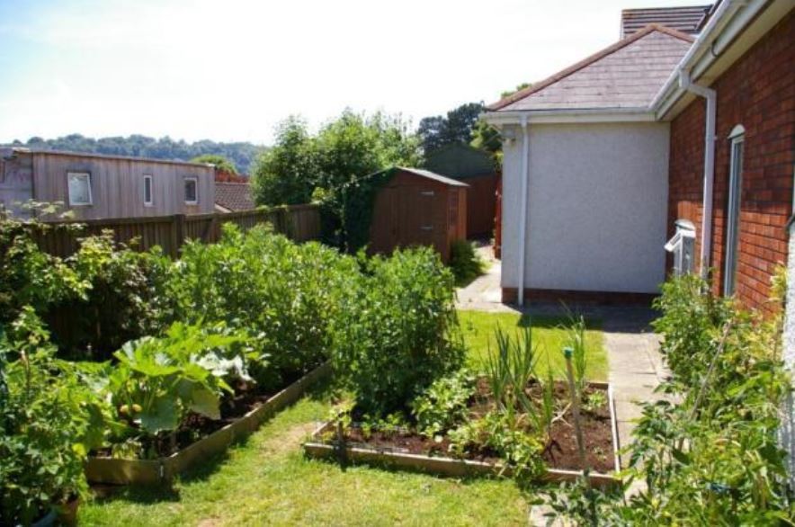 This is an example of a modern garden.