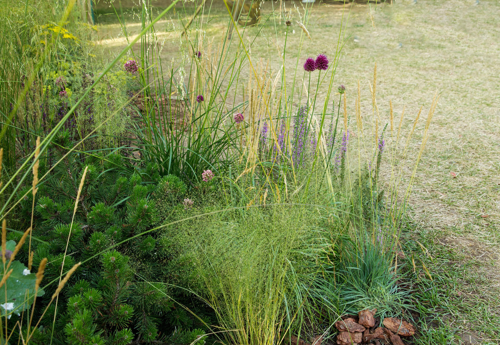 Сад   James Alexander-Sinclair  на Moscow Flower Show 2018  (вне  конкрса)