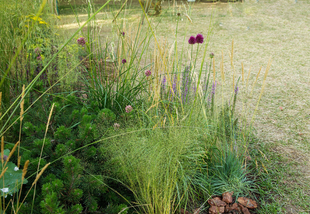 Сад   James Alexander-Sinclair  на Moscow Flower Show 2018  (вне  конкрса)