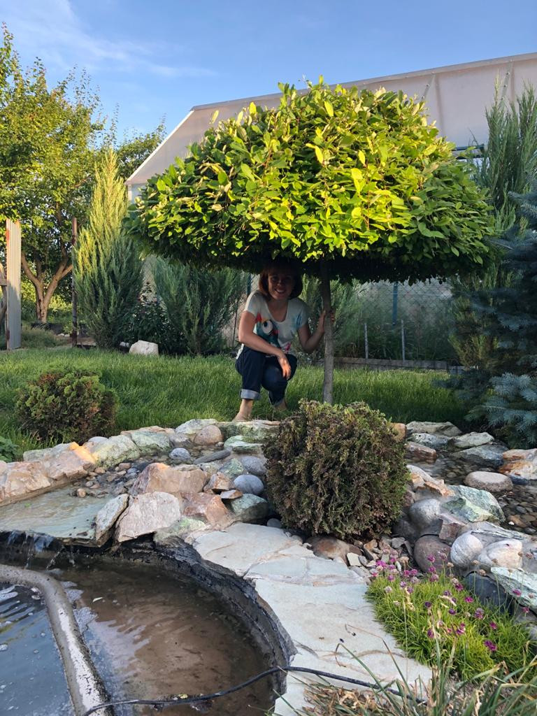 Альпийская горка Ростове