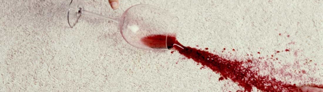 Carpet Cleaners Wellington Repair Porirua Homepage Carpet Cleaning Wellington Fl D S