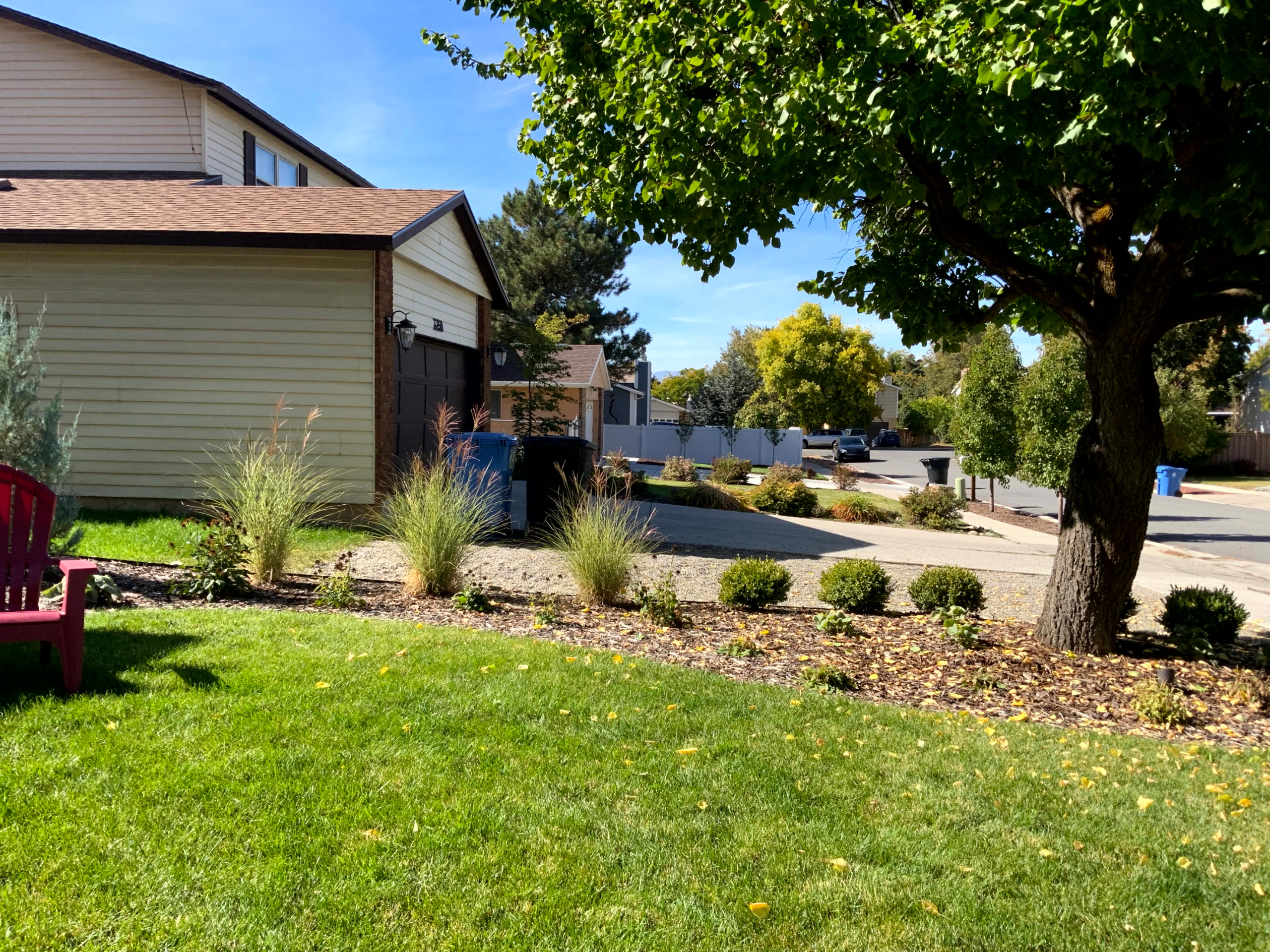 Pollinator Garden