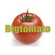 ヒノキのログハウス/有限会社ビッグトマト