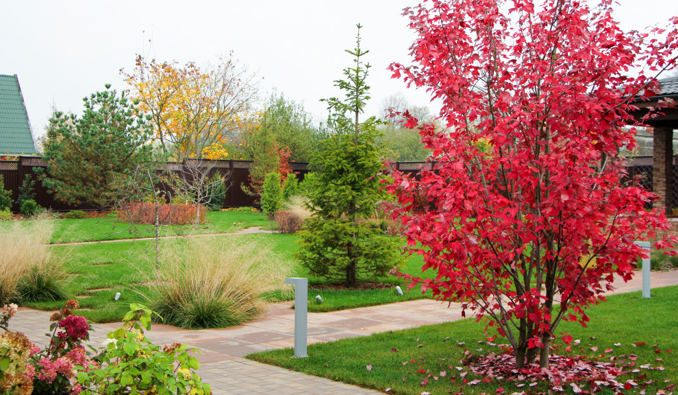 Петровское, 2018-2020 гг.