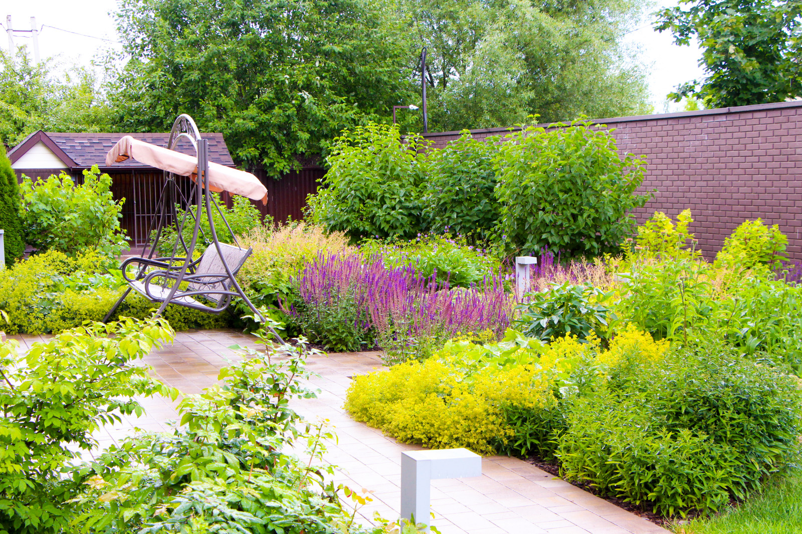 Петровское, 2018-2020 гг.