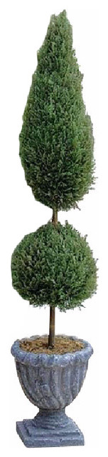 Classic Topiary, 60"