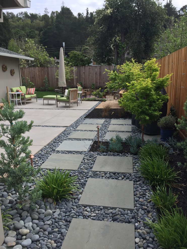 Design ideas for a transitional landscaping in San Francisco.