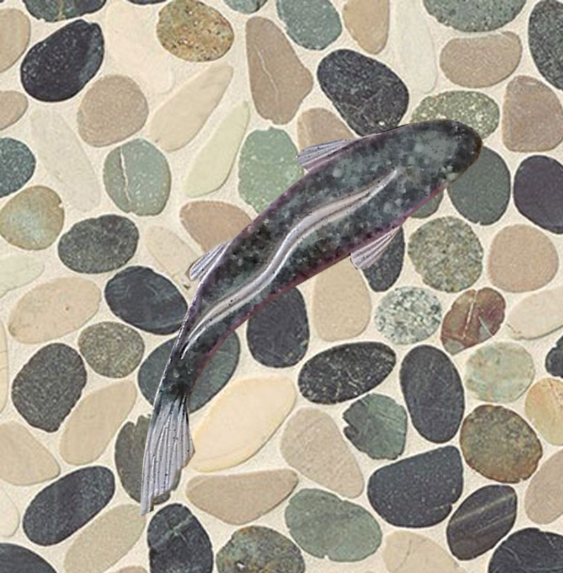 sliced pebble shower floor fish tiles - Other - by Tiles with Style | Houzz