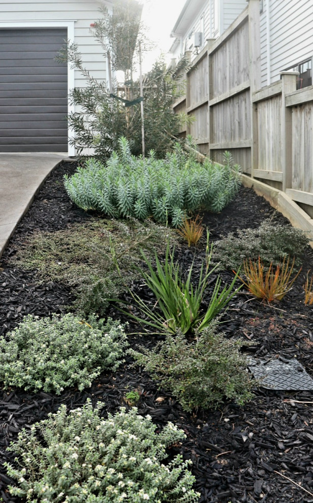Mittelgroßer Moderner Garten im Sommer, neben dem Haus mit Auffahrt, Blumenbeet, direkter Sonneneinstrahlung, Mulch und Holzzaun in Auckland