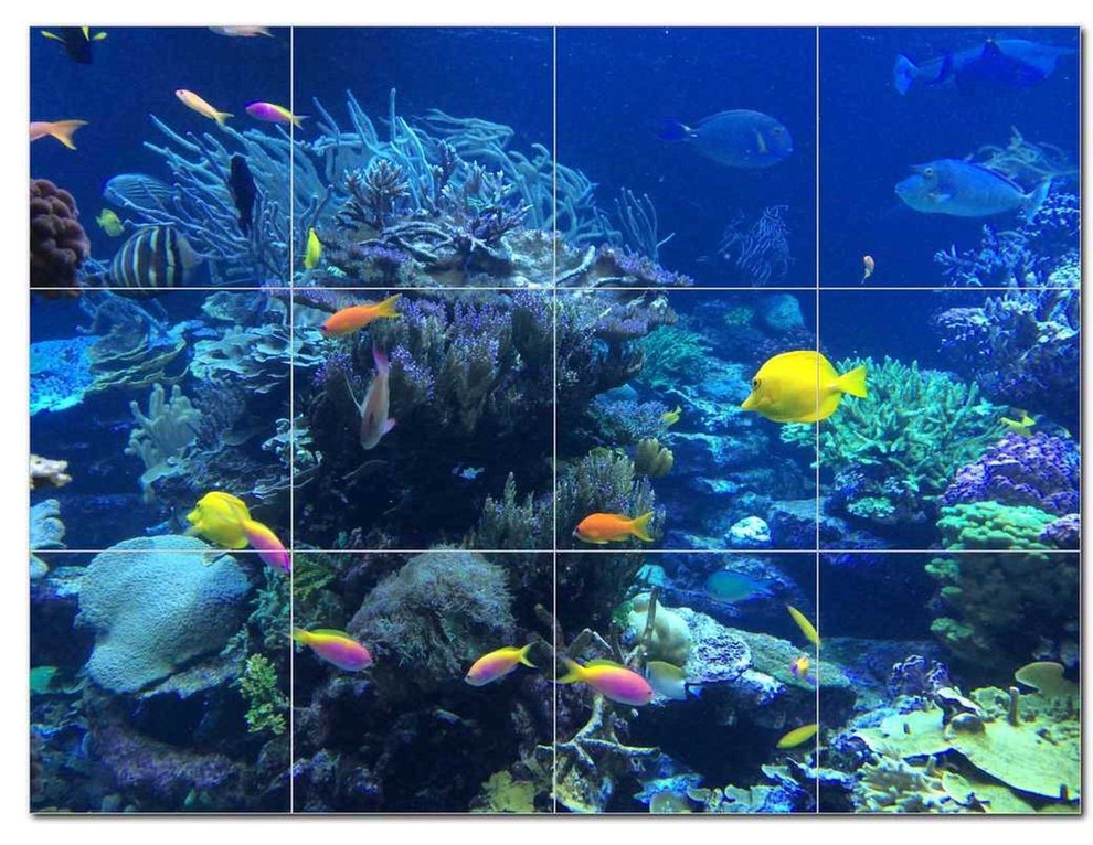 Coral Fish Underwater Ceramic Tile Mural Kitchen ...