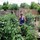 cynthia_sapp