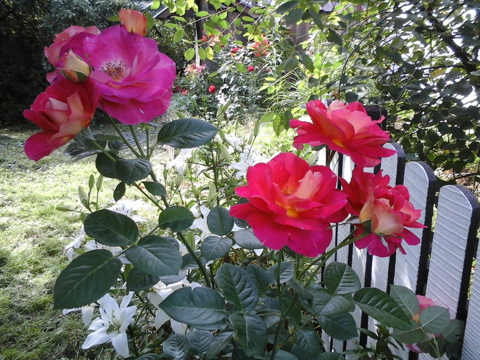 Оформление