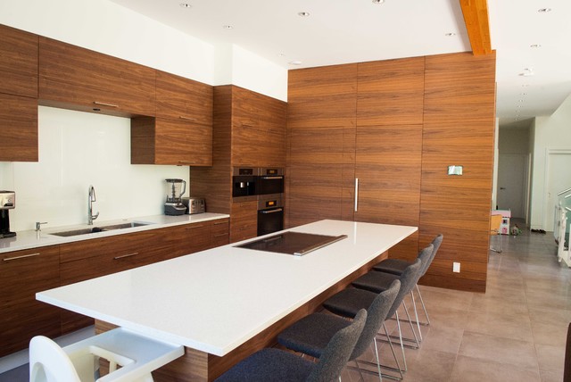 Modern Kitchen contemporary-koek