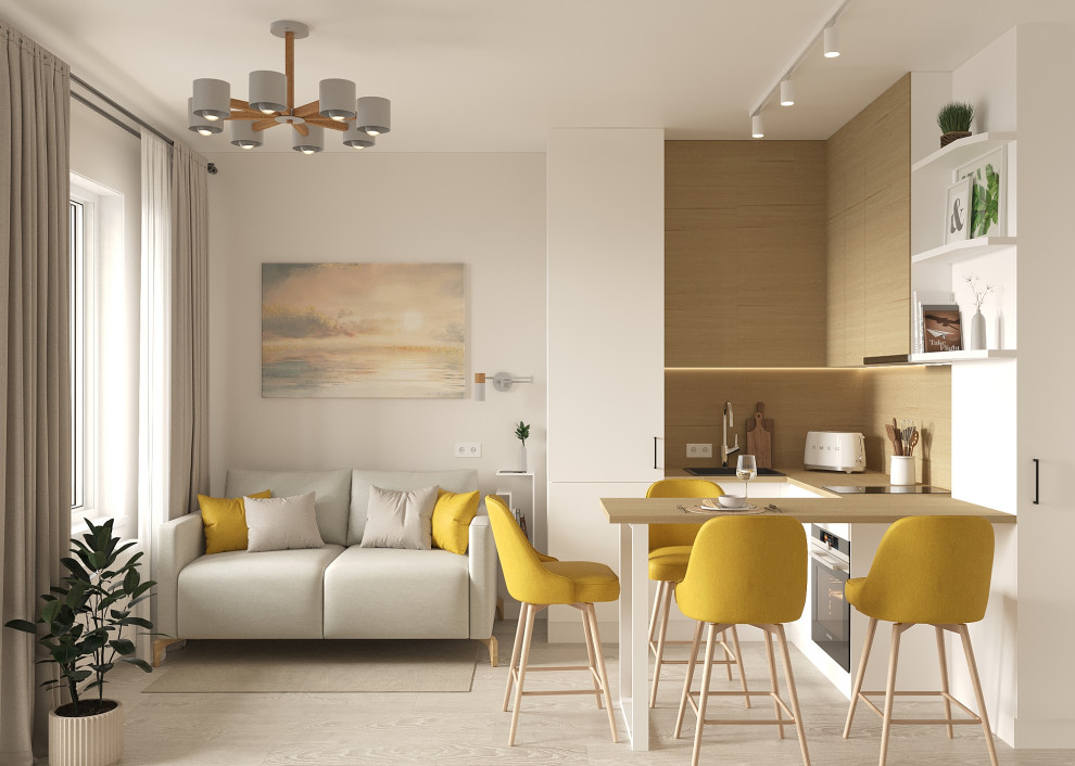 Студия 24кв.м.