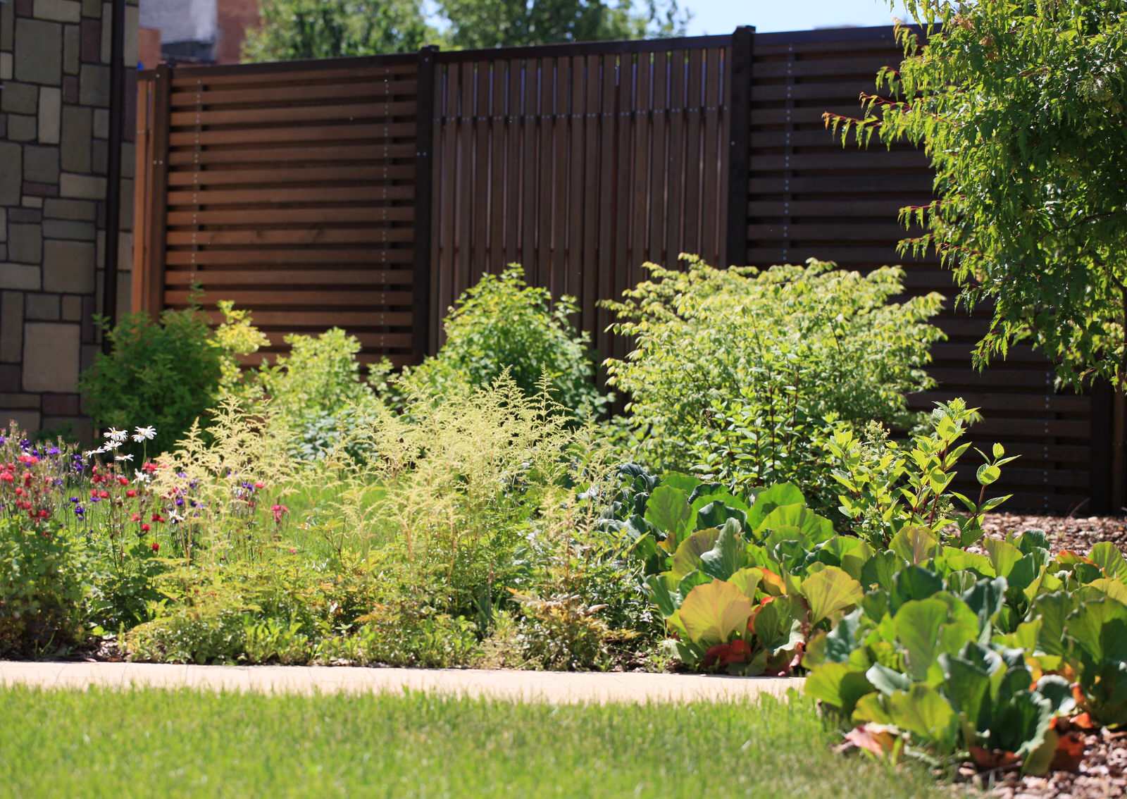 Сад с румянцем