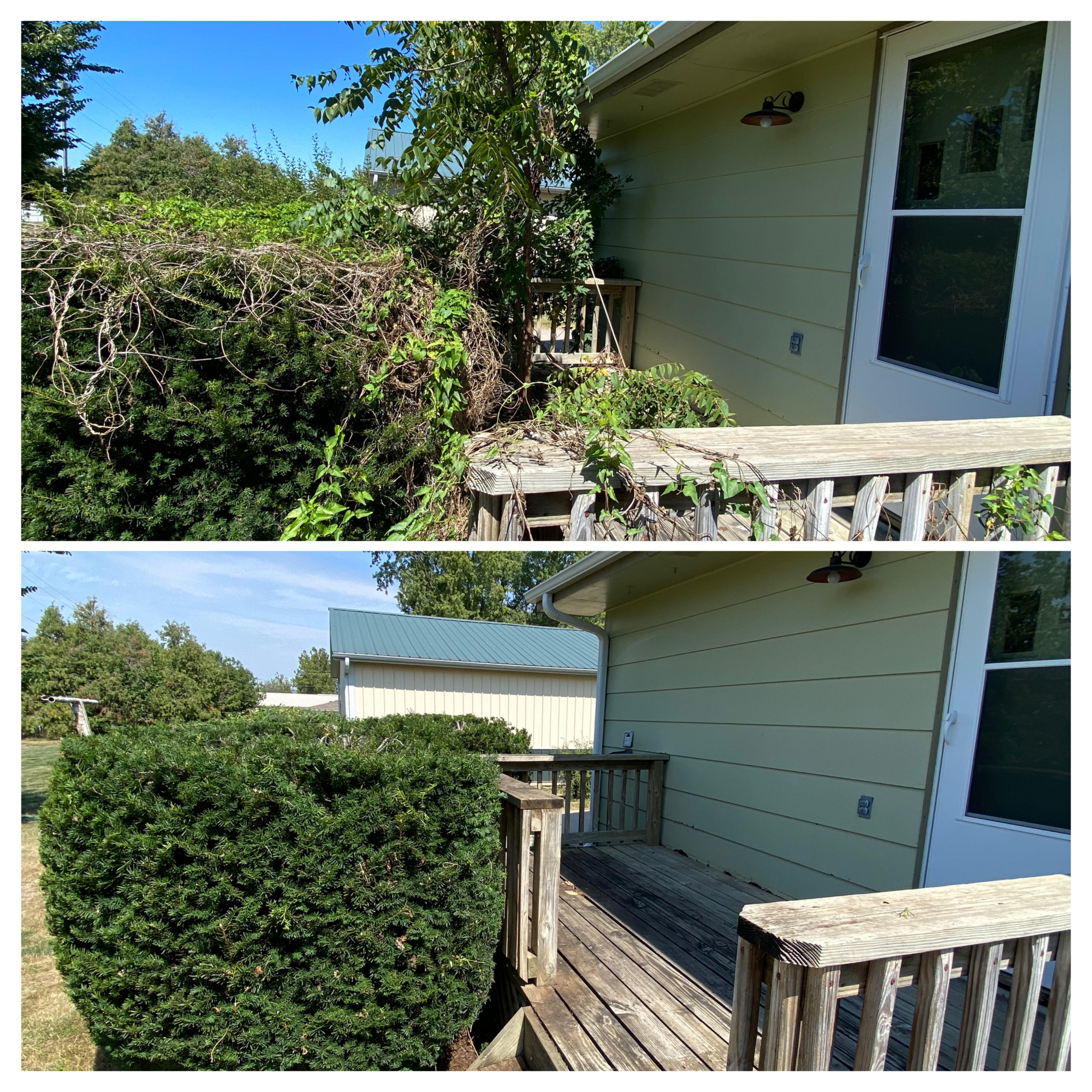 Trimming & Cleanup