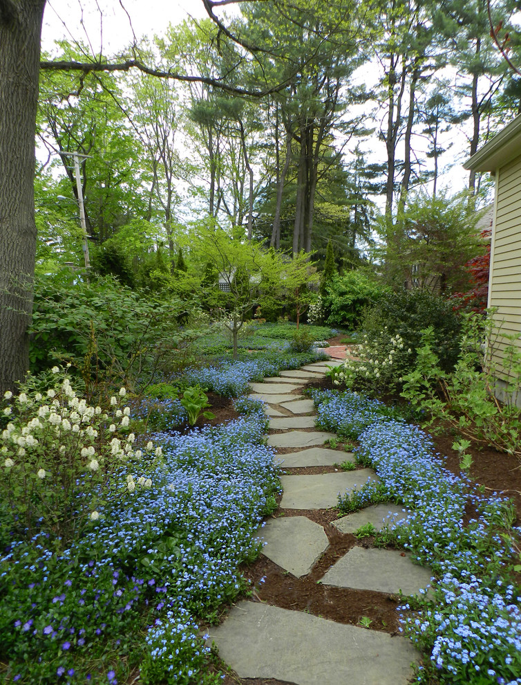 Inspiration for a landscaping in Boston.
