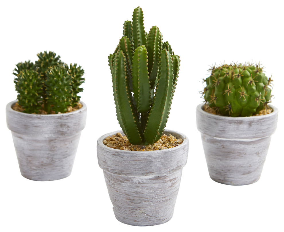 8" Cactus Artificial Plant, 3-Piece Set