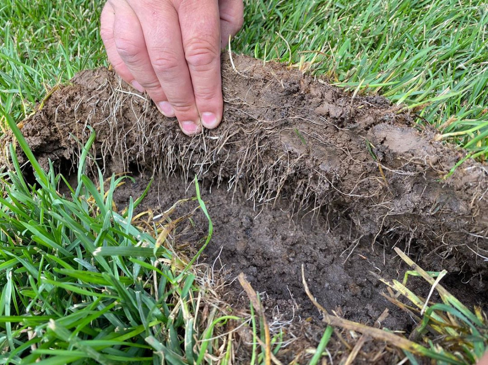 Производство и реализация рулонного газона