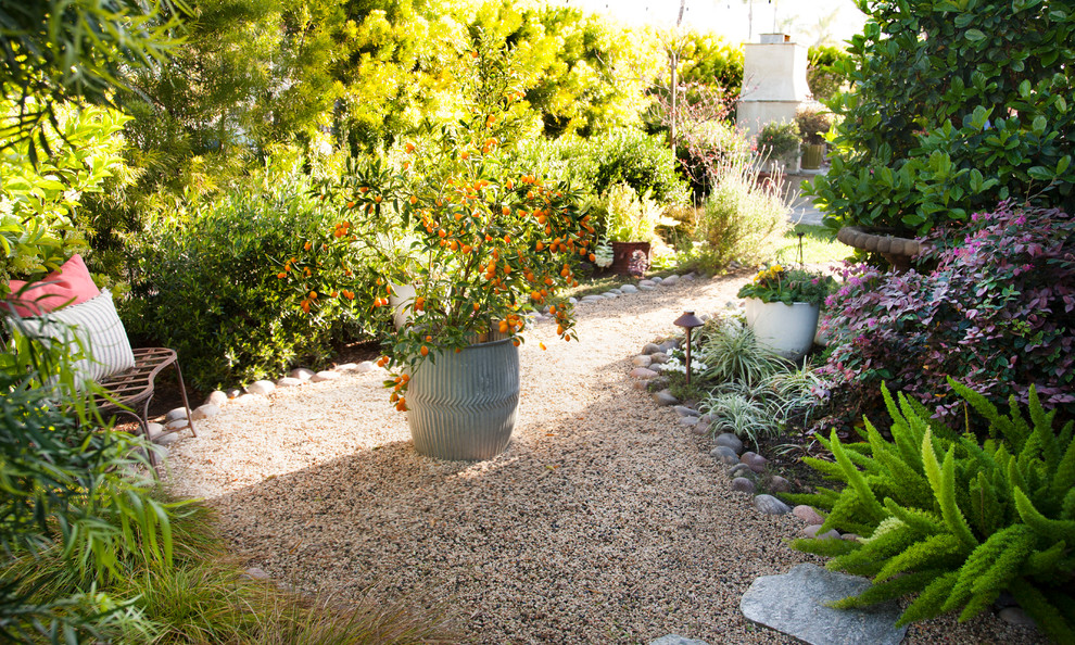 This is an example of a transitional garden in San Diego.