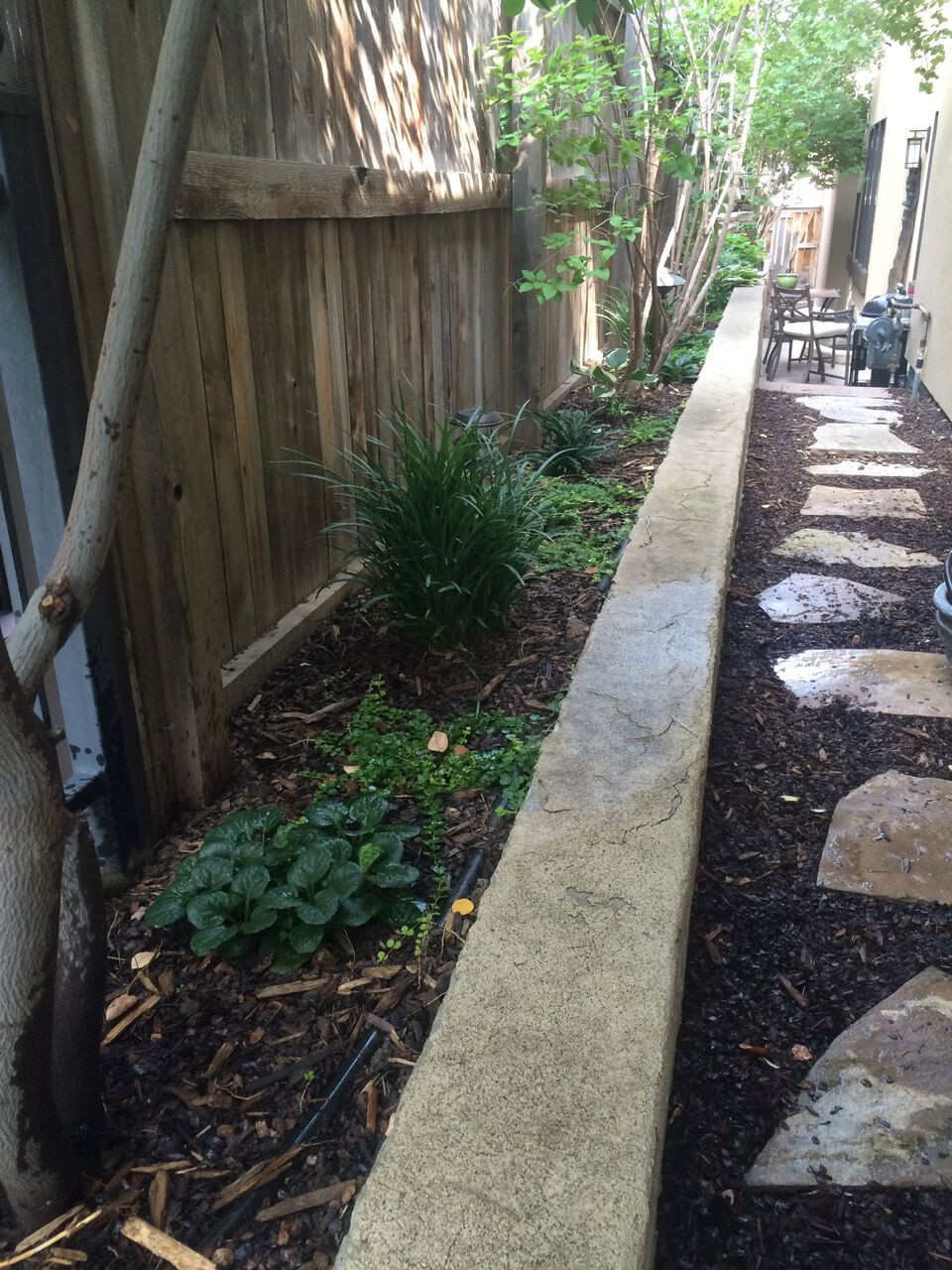 Custom Backyard Design