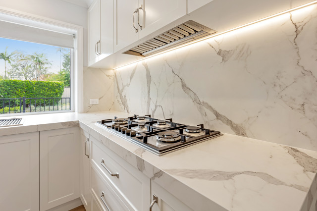 Kitchen renovation contemporary-kitchen