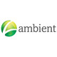 Ambient Bamboo Floors