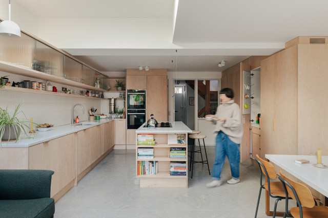 The Span House scandinavian-kitchen