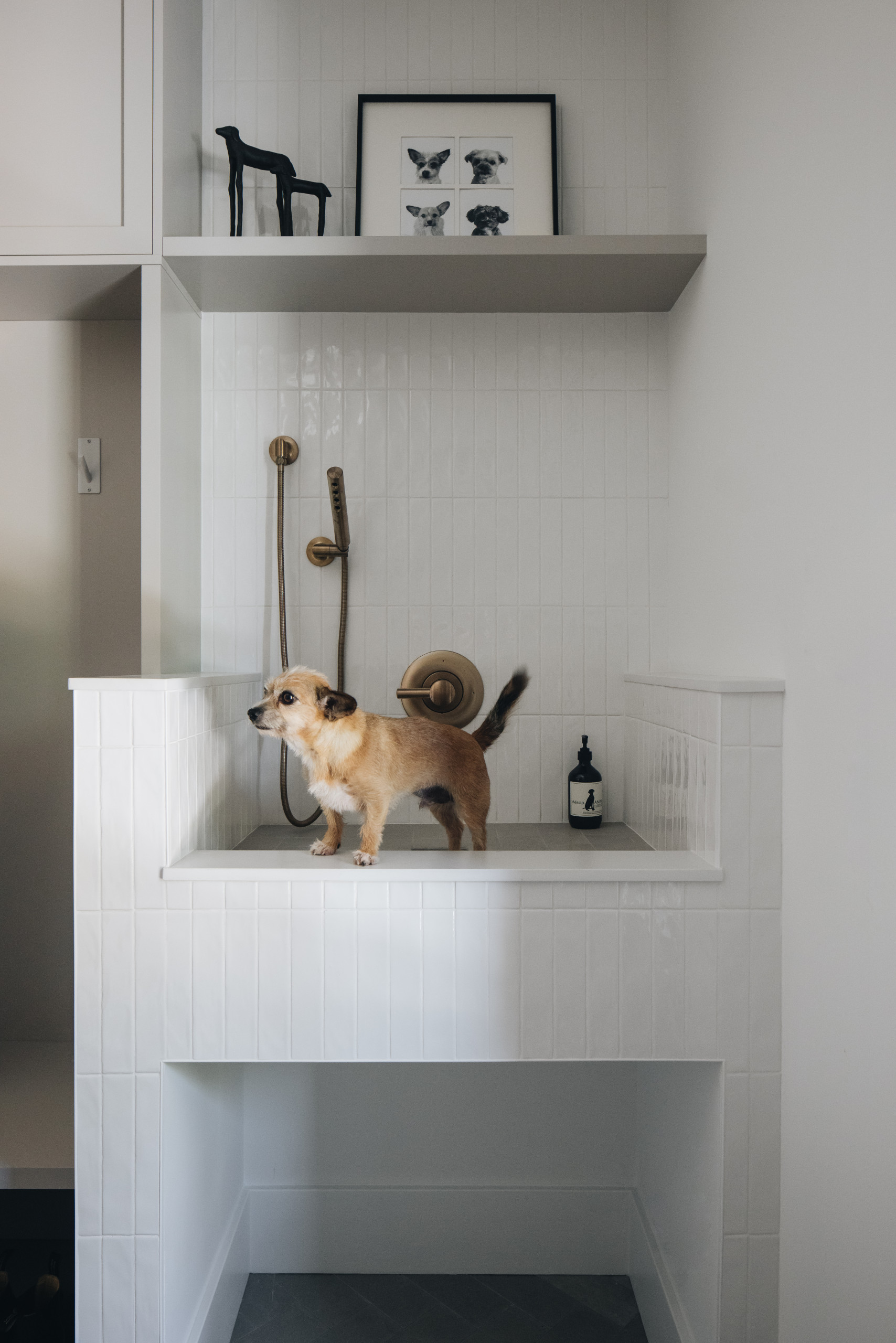 PetSpa 2-in-1 Dog Shower Bench With Storage Cabinet - White Pet Bathing Station For Easy Grooming