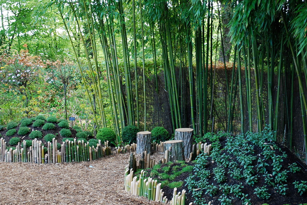 This is an example of an asian garden in Nantes.