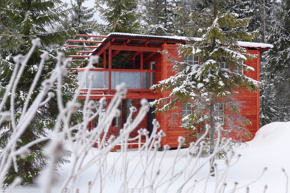 Дом с ёлкой 45 кв.м.