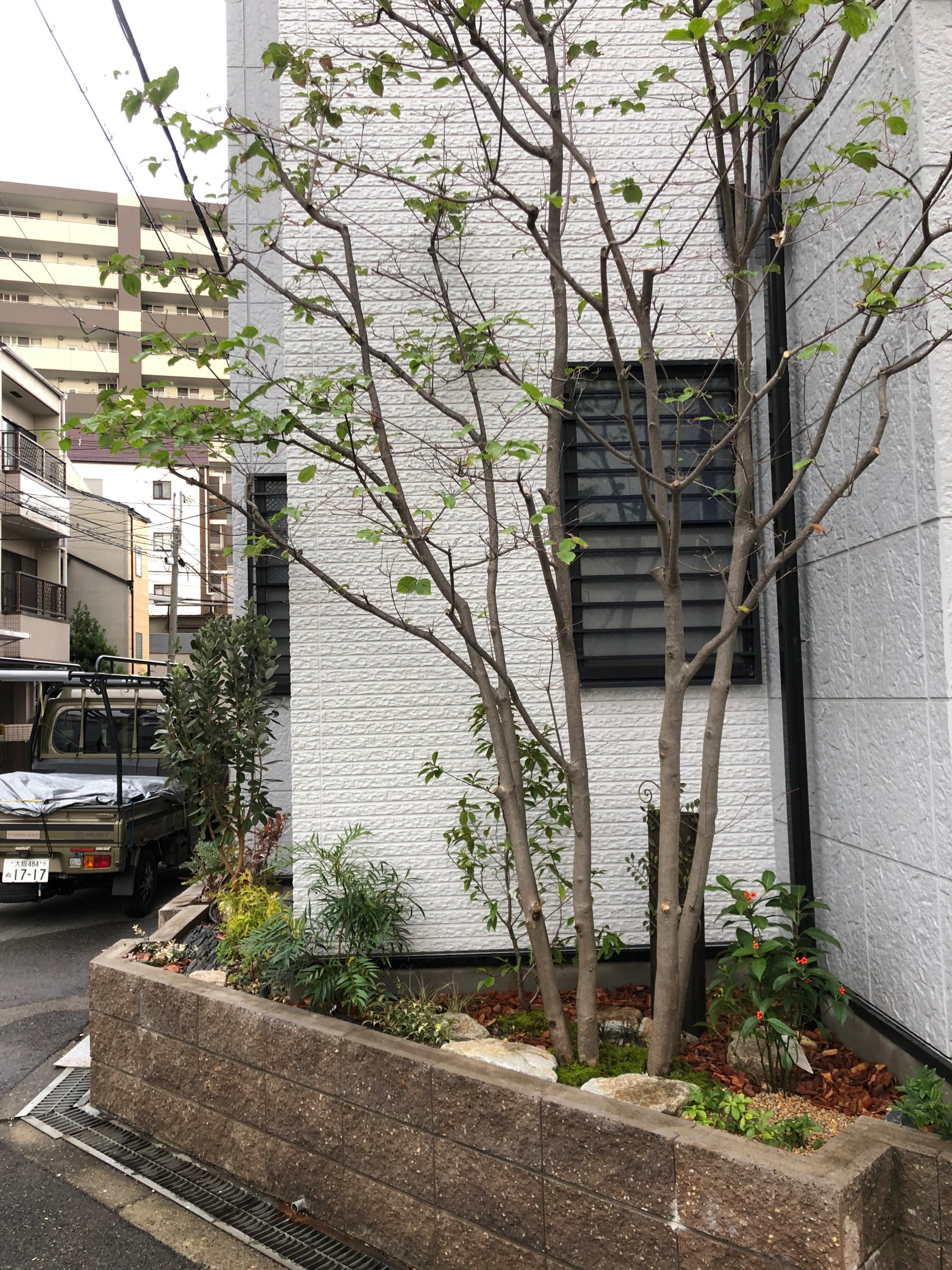 花壇