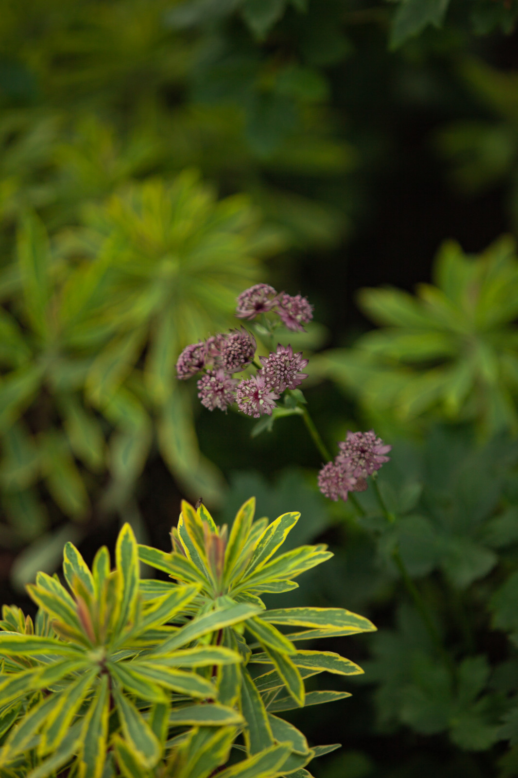 Архитектура природы