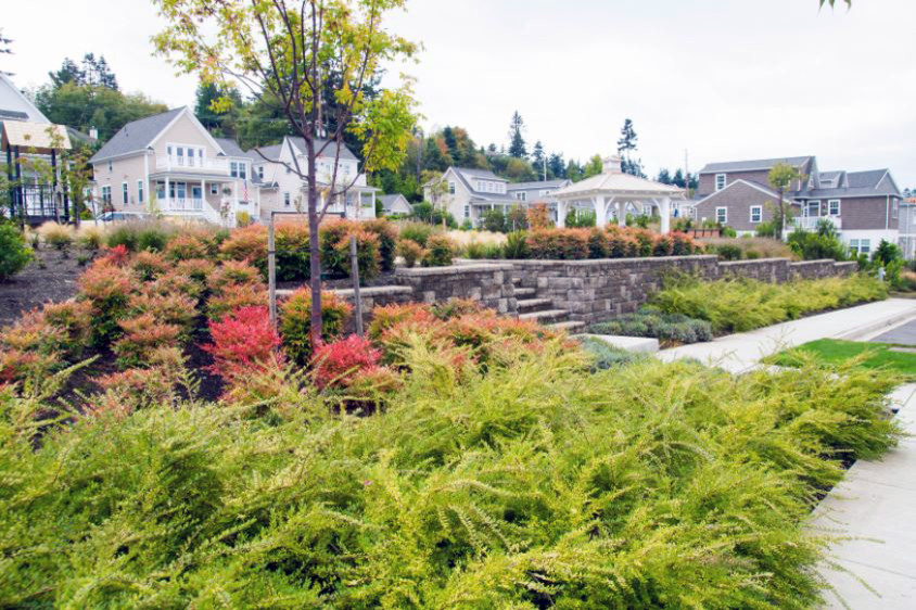LANDSCAPE DESIGN & INSTALLATION