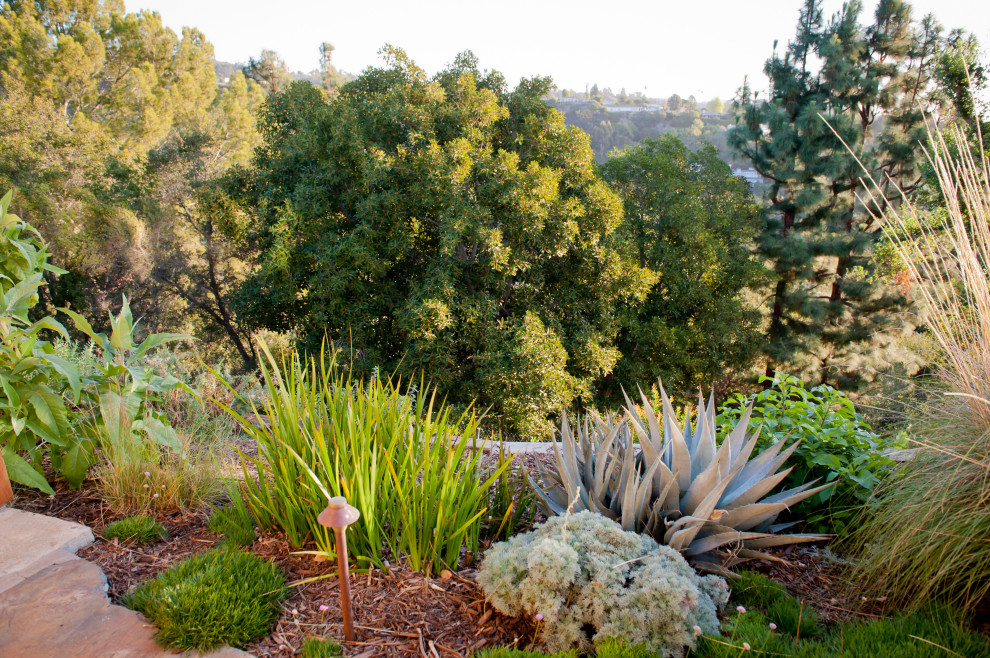This is an example of an expansive contemporary sloped partial sun xeriscape for winter in Los Angeles with with flowerbed and decking.