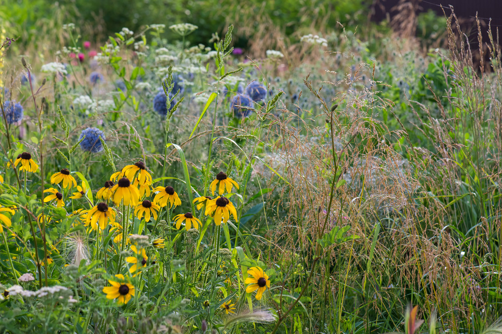 Большой сад в пригороде