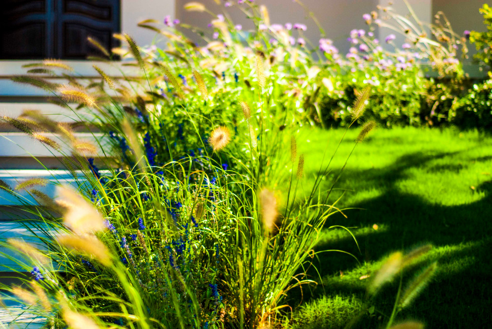 Diseño de jardín mediterráneo grande