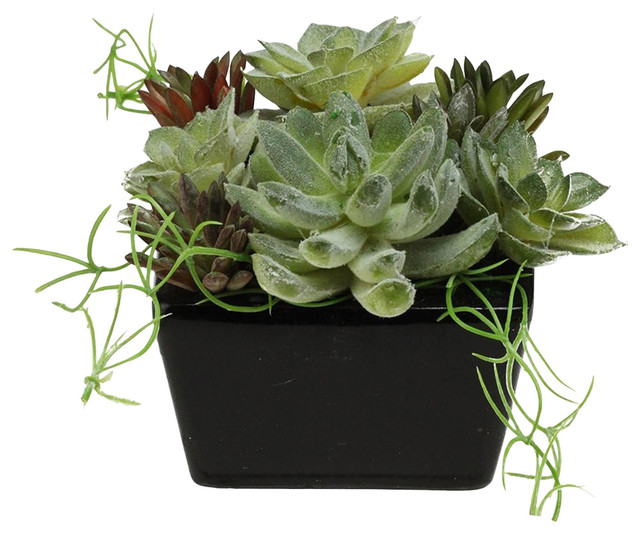 8 75 Decorative Artificial Mixed Succulent Arrangement In A