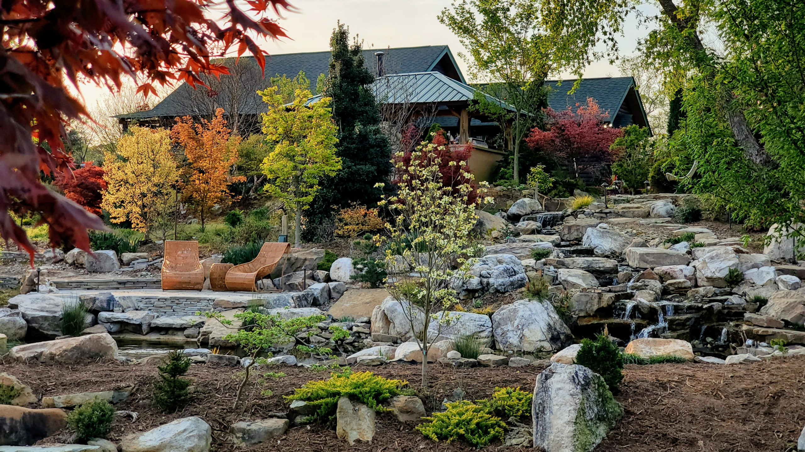 Backyard Landscape and Garden