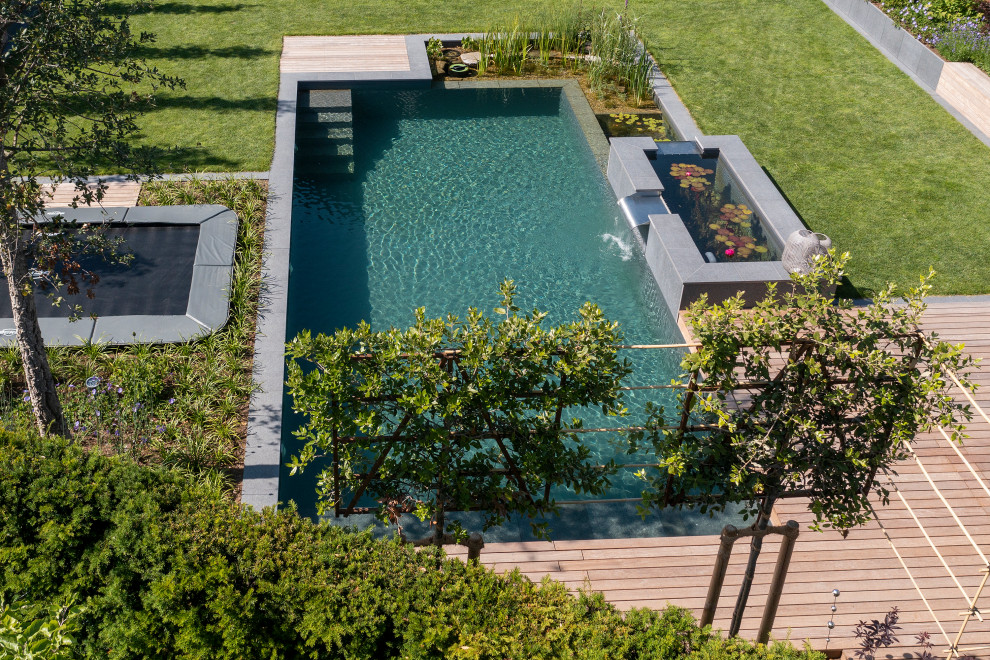 Naturpool als Designhighlight Contemporary Landscape Other by