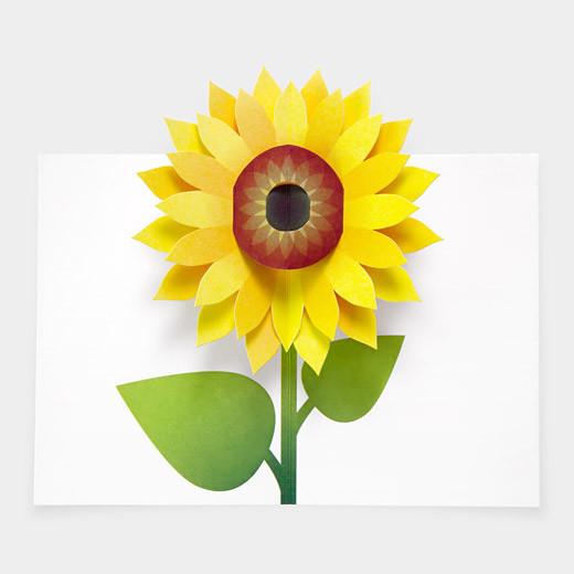 Robert Sabuda Sunflower Pop-Up Note Cards